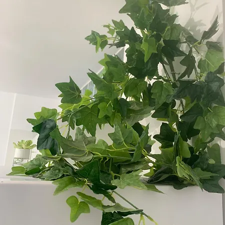 Διαμέρισμα Luminoso Y Con Airco - D4 - Frente A La Piscina En Mareverde