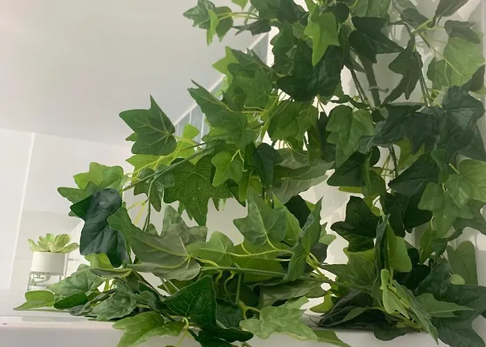 Appartamento Luminoso Y Con Airco - D4 - Frente A La Piscina En Mareverde